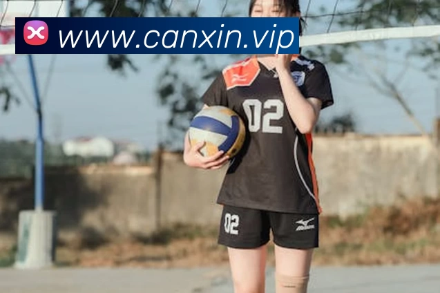 App Interface Preview