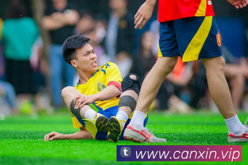 aoa体育电竞官网(中国)APP 封面图